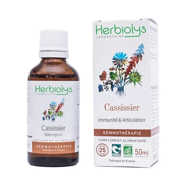 Flacon de macérat de bourgeons de cassis bio, un concentré de nature pour renforcer votre organisme.