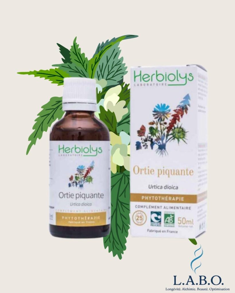 Ortie Herbiolys - Fatigue, chaleur, digestion difficile : les 5 plantes médicinales pour mieux vivre l’été (et anticiper la rentrée)