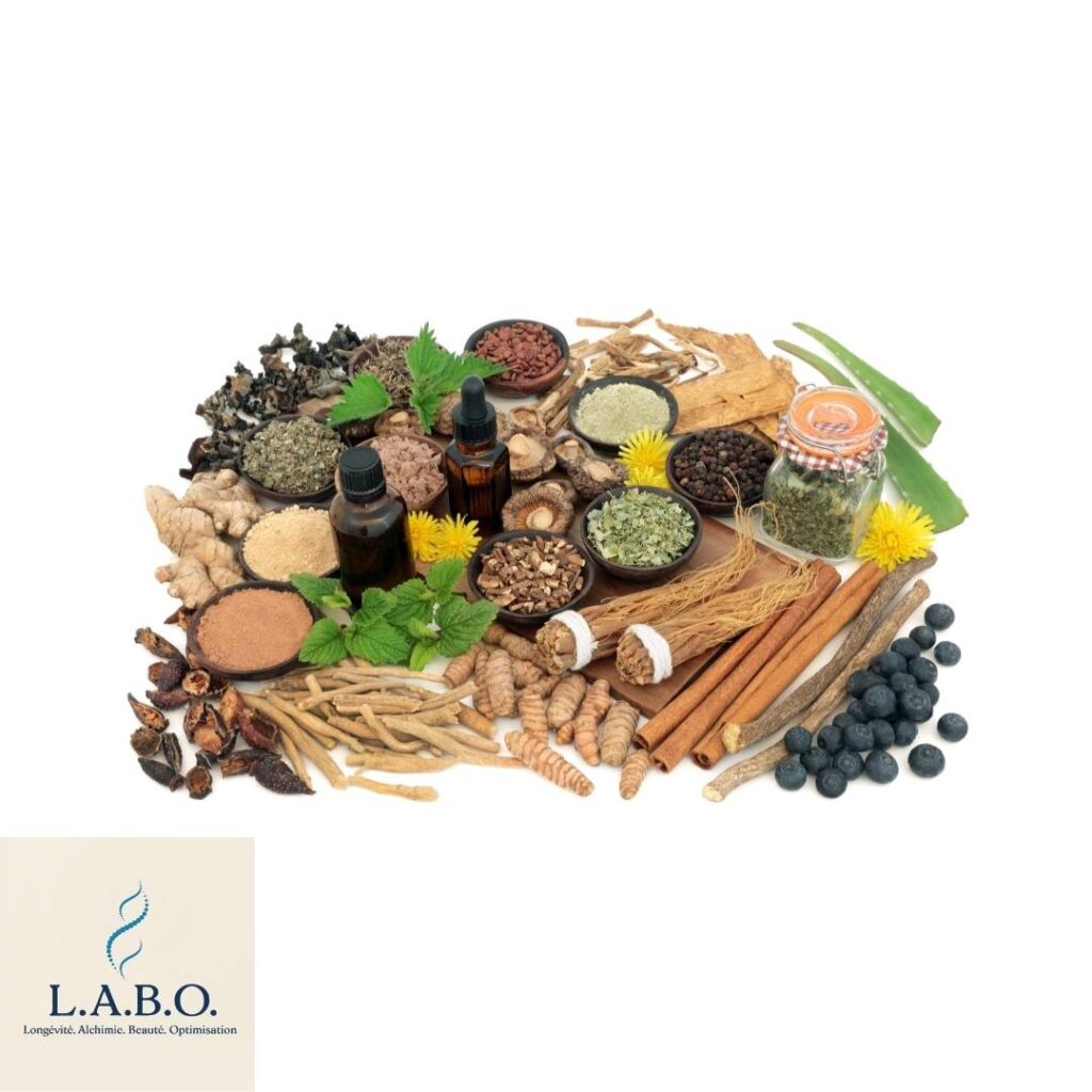 micronutrition anti stress
