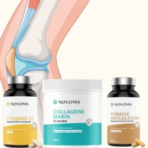 Articulations Ossature