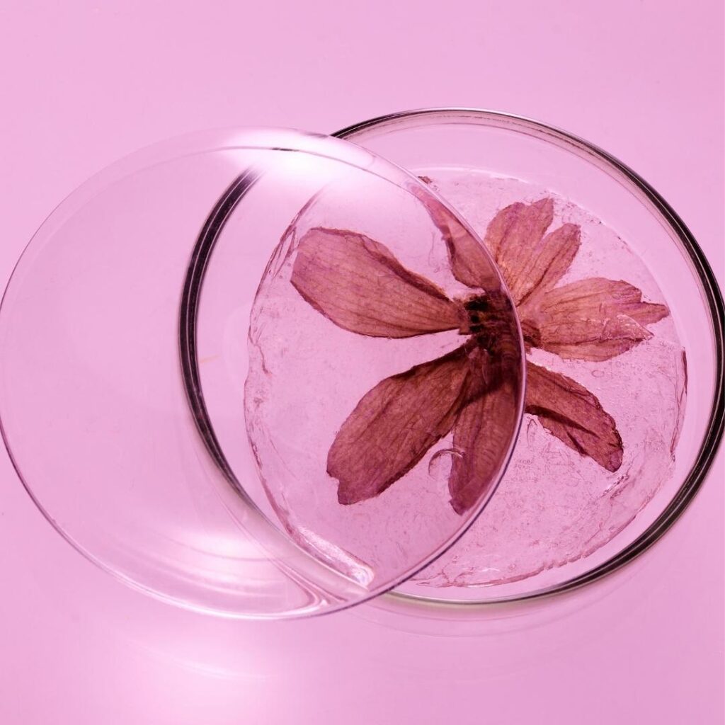 La composition des produits cosmétiques