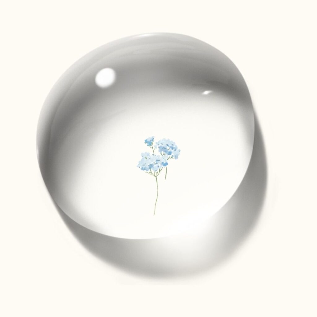 Posologie fleurs de Bach