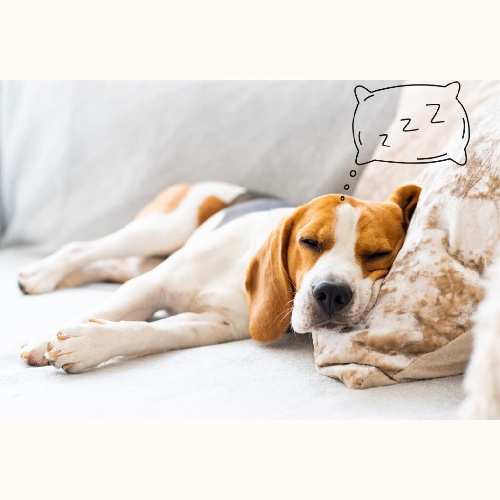 qualité du sommeil