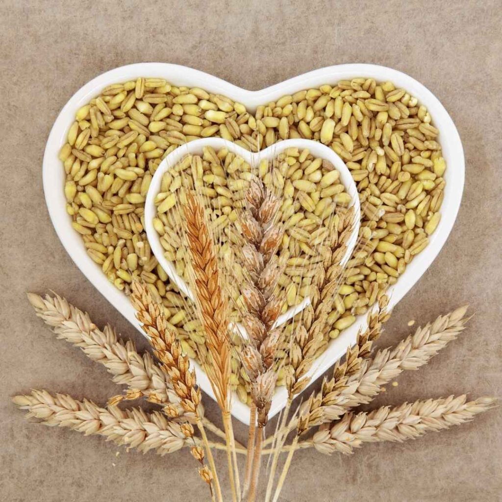 Les véritables pathologies liées au gluten