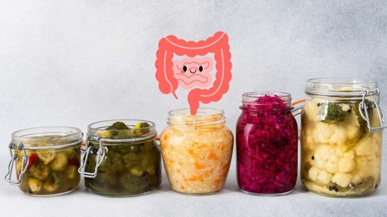 Aliments fermentés