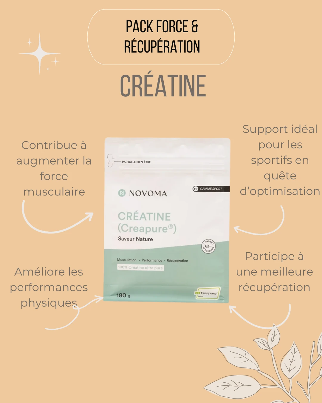 Pack force et nutrition composé de la créatine pour une meilleur récupération et une amélioration de la performance sportive.
