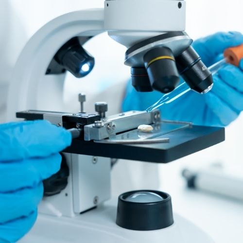 Les preuves scientifiques sur l’efficacité de la supplémentation