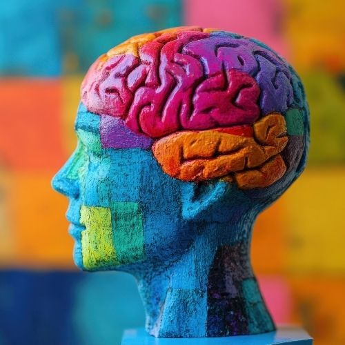 Nourrir le cerveau