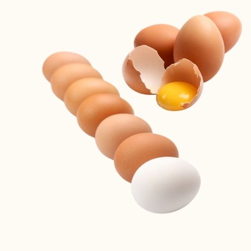 Oeufs
